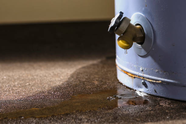 Best 24/7 water damage repair  in Buffalo, OK