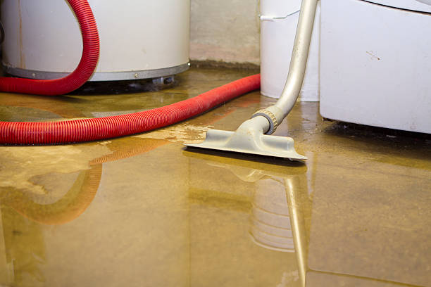 Best Carpet water damage restoration  in Buffalo, OK