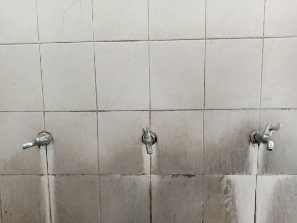 Best Flood damage cleanup  in Buffalo, OK